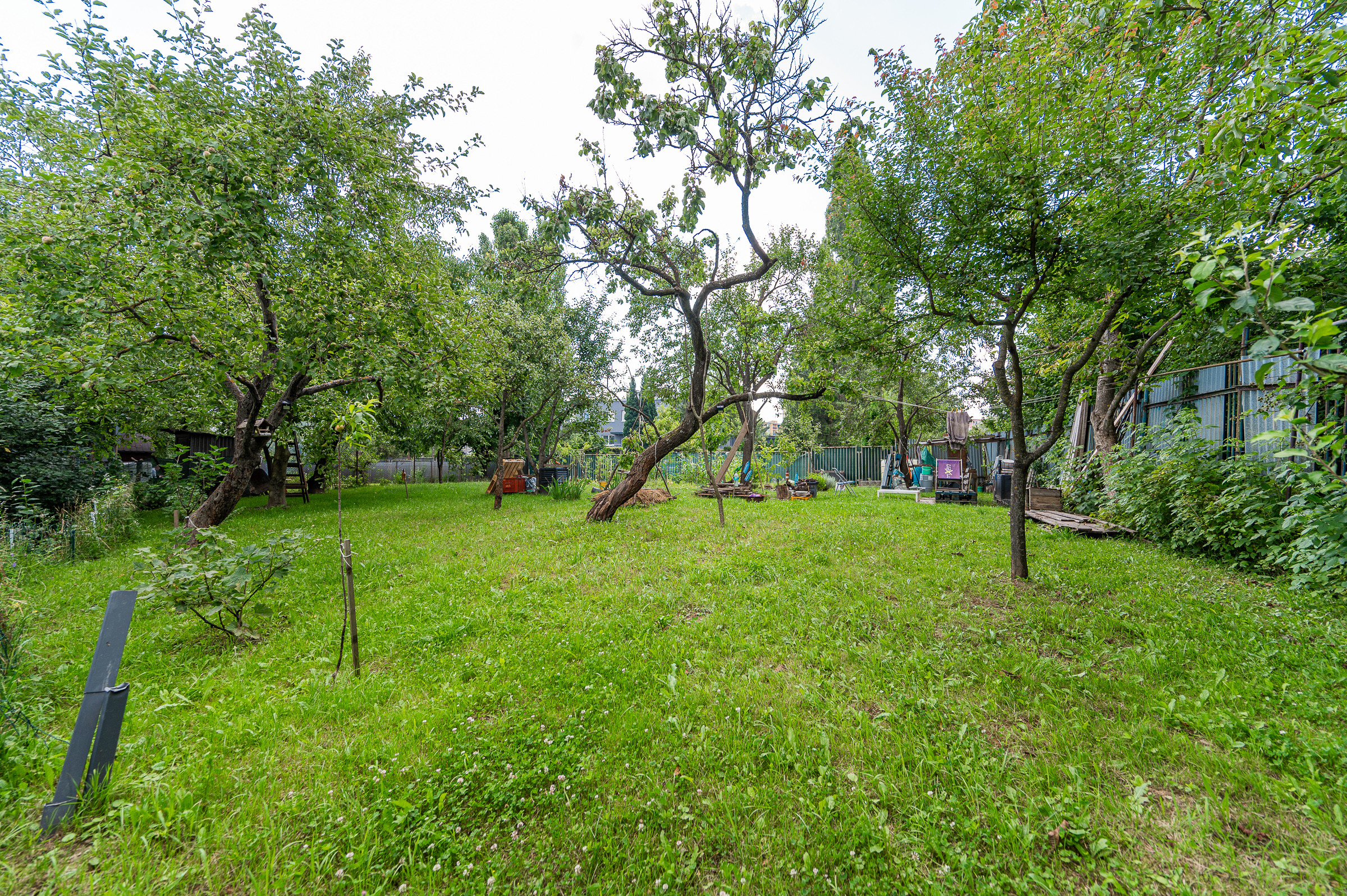 Záhrada v širšom centre mesta, Košice - ul. Popradská