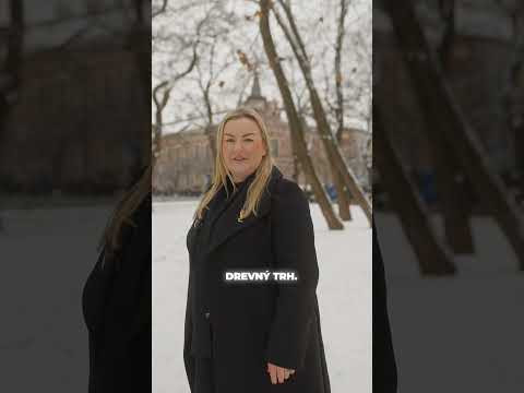 POSLEDNÝ VOĽNÝ 2 izbový byt v novostavbe Drevný trh