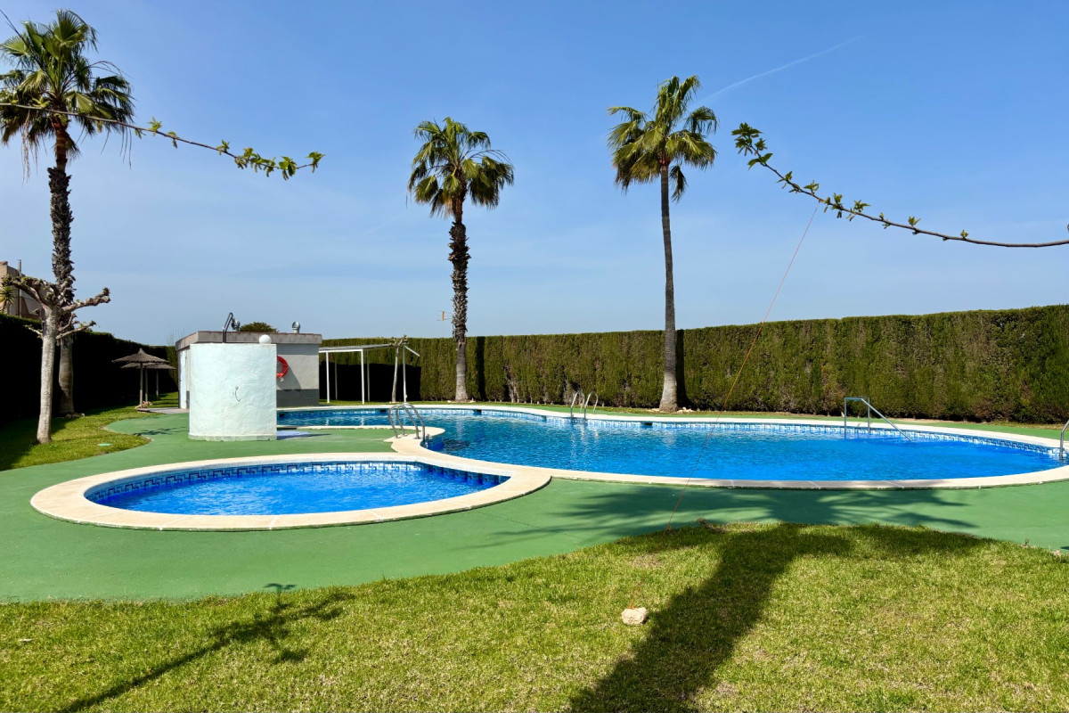 Apartmán v San Luis, Torravieja